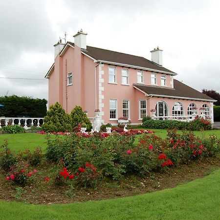 Ballingowan House Newcastle West Esterno foto