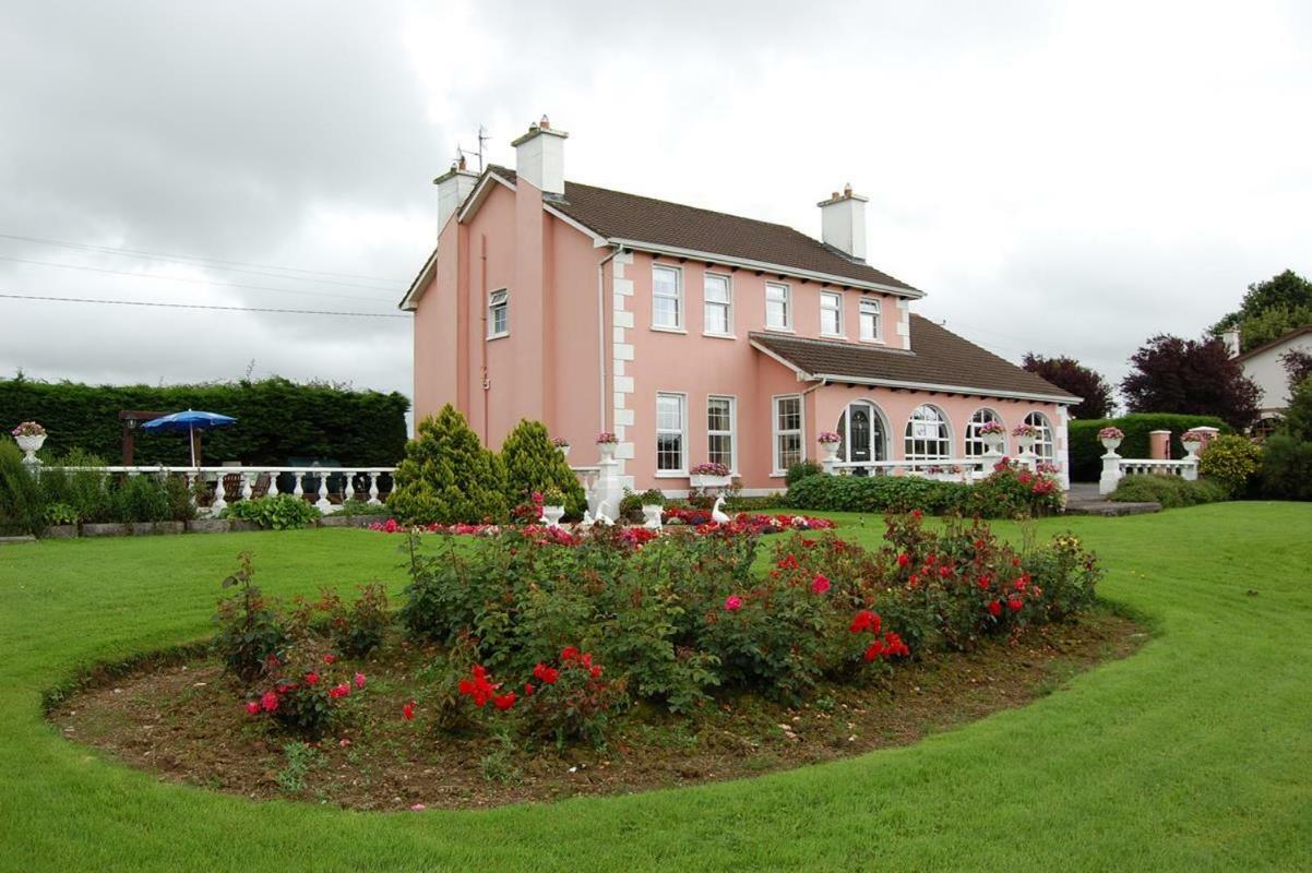 Ballingowan House Newcastle West Esterno foto